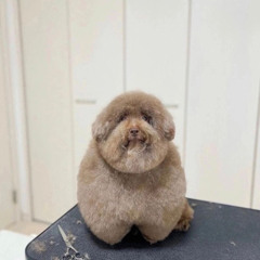 Пустая как ты