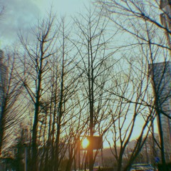 Sunrise (prod. SCARY'P)