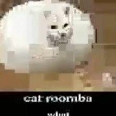 Cat Roomba