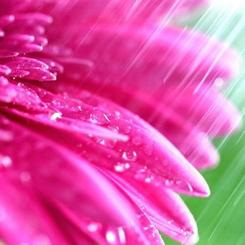 Rainy Day +prod islurwhenitalk pluggnslur