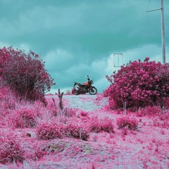 I Rode a Motorcycle to Lake Titicaca (Based Off of a True Story) [DEMO] - Flamingo Rider