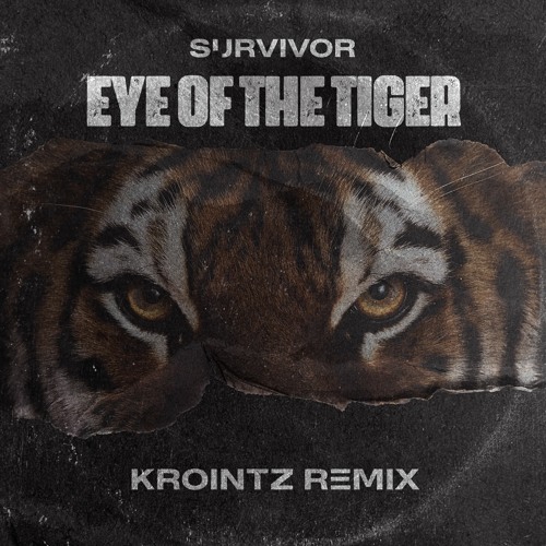 Survivor - Eye Of The Tiger ( Vinyl 12 Extended Remix) 