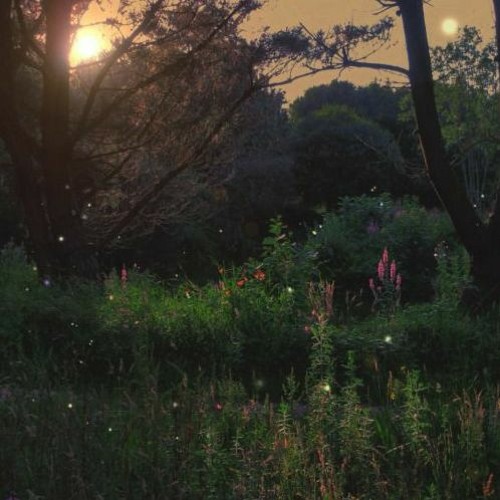 My Angel Of The Silence