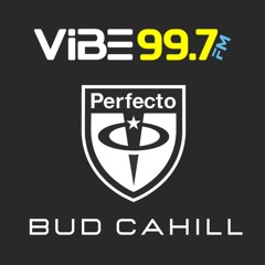 Bud Cahill @ Perfecto Wednesdays on VIBE 99.7 FM Vegas - April 3, 2024 (1hr Progressive Mix)