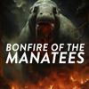 Bonfire of the Manatees - 80's Inspired Mix DJ mix artwork - Electronic music tracklist cover image