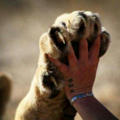 liquid FM DJ Savage - fulfillment of destiny The Lion of tribe of Judah rules