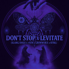 Don't Stop x Levitate (Slang Dogs x rSUN x GRIMWERX x KTRL)