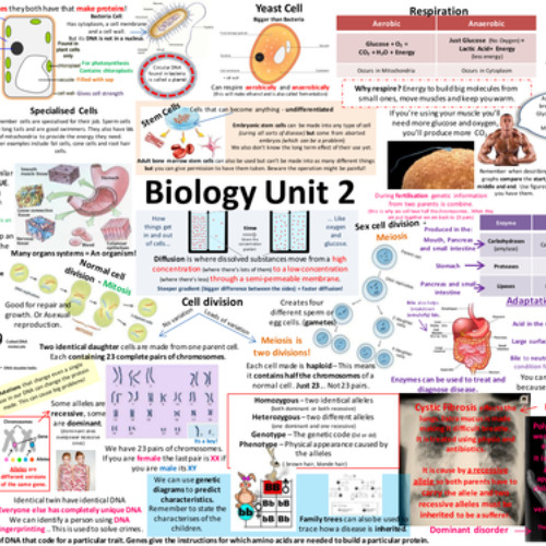 AQA Combined Science Biology Paper 2_ Major Focus Revision