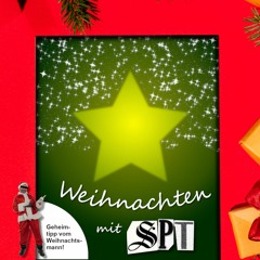 Rehe auf der Landstraße