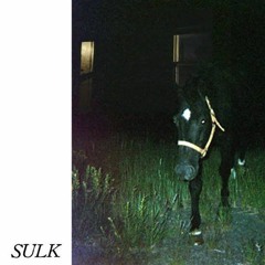 Loose Ends (sulk)