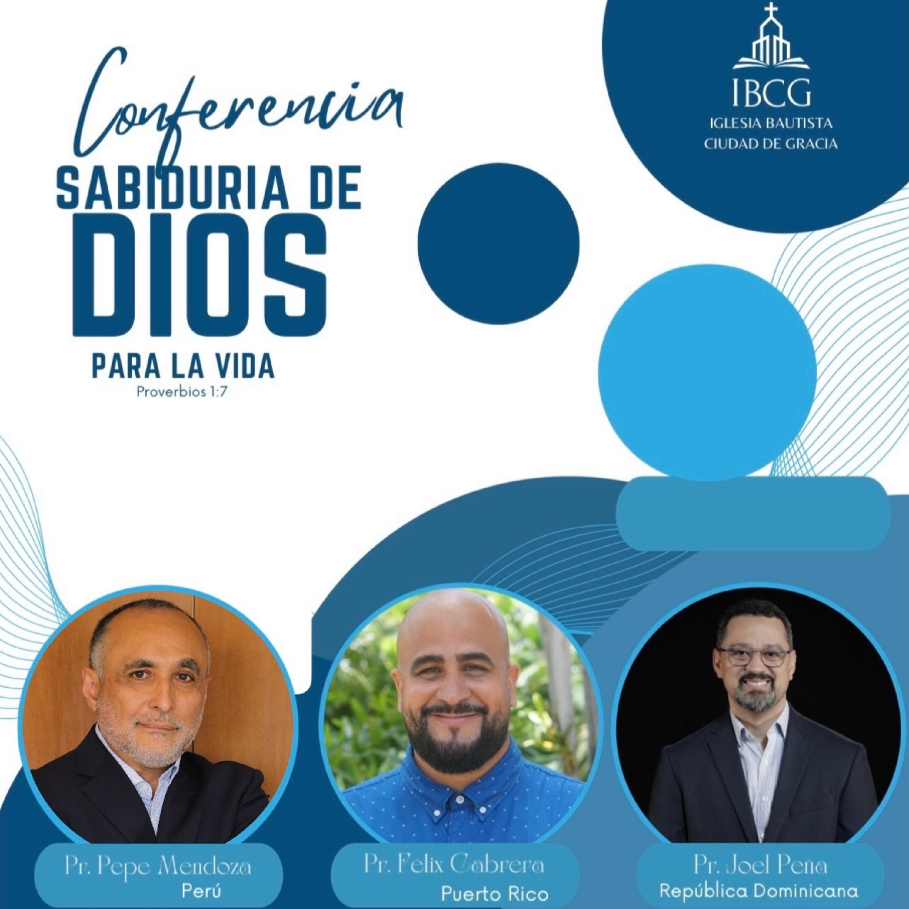 IBCD-PUR