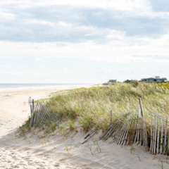 Sand Dunes