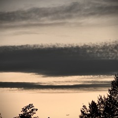 Dalepilled (Acoustic Cover)