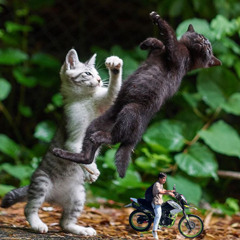 mashup d zúmbala con pekoro, por favor tab y chocobo ya graben el ep, ya no se que mas hacer.wav