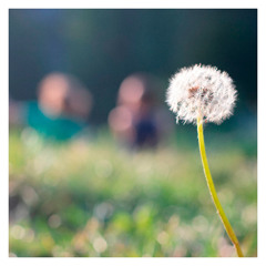 Simple Things (official version 2024)