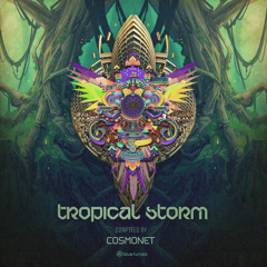 Shamanic/Tribal/Jungle/African/Asian/Indian Progressive Psytrance