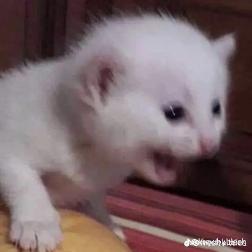 let-the-spirits-taek-me