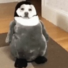 People talking and people talking but cooler, don't forget some music