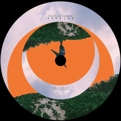 FEELS LIKE SUMMER (HOUSE REMIX)