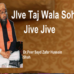 Jive Taj Wal Sohna Jive Jive Qawali  Ishq E Nabi De Ander Pao Dhamal sare Qawaali 2024
