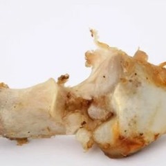 Gristle While You Work