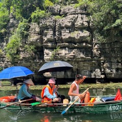 Việt electro