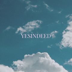 Yesindeed Flip
