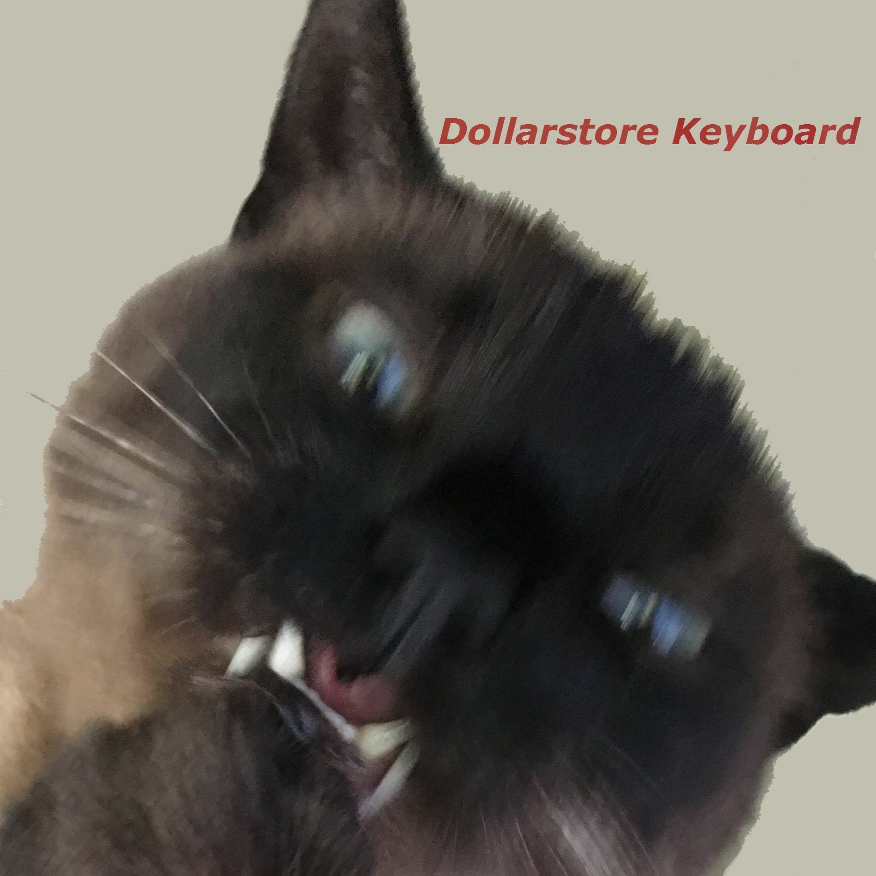 Dollarstore Keyboard