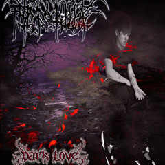 parapherneliaaddict p.woelign