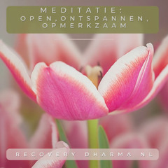 Meditatie: Open - Ontspannen - Opmerkzaam