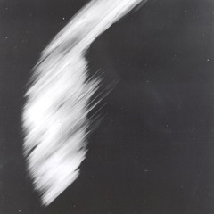 Ina Kaysen - Février 2024