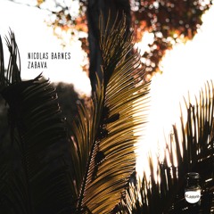 Nicolas Barnes - Zabava