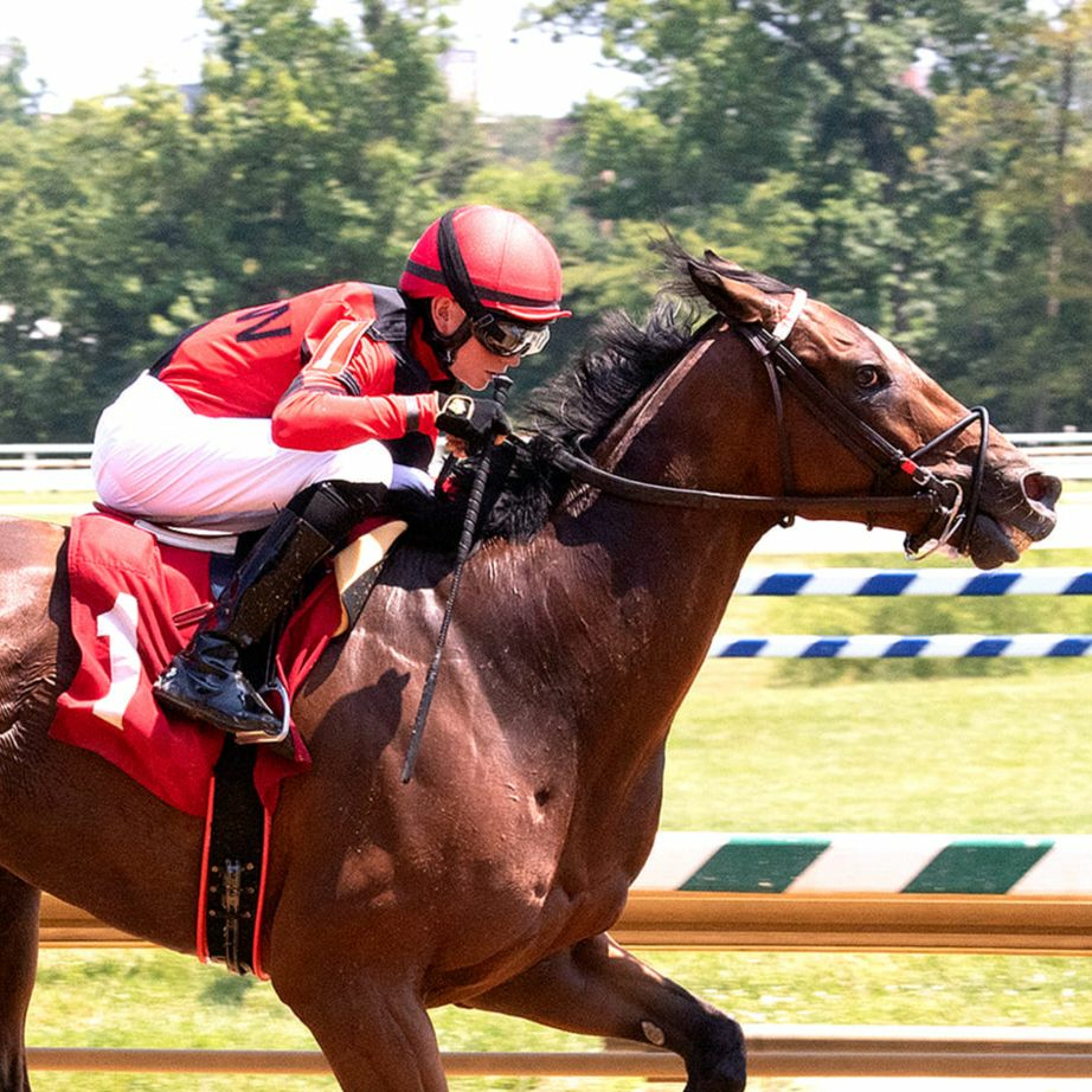 The Auxiliary Gate - Kentucky\'s Horse Racing Discussion