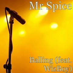 Mr. Spice - Balling  (ft. WizBoy)