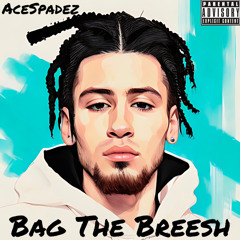 Bag the Breesh
