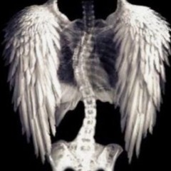 WiNGS (prod. SHADE08)