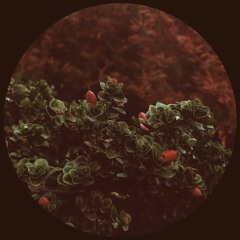 Synnhaven - Everything / Feel The Same