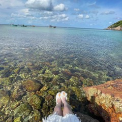 NST VIETMIX Style NAM TRẦN ft VĂN TRÍ - PhB