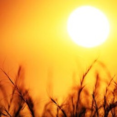 Warmness