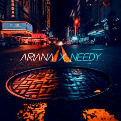 Ariana x needy