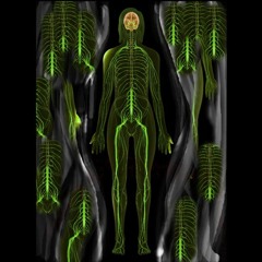 Healing body - 2 - Healing female nervous system