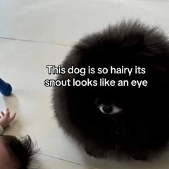 switched up ft xtsy* [og]