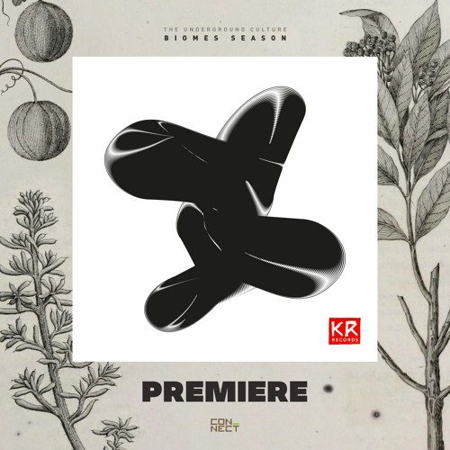 PREMIERE: Sina XX - You Smell Like Party [KR Records]