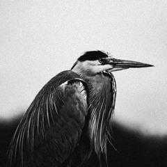 If We Could Still Be Saved