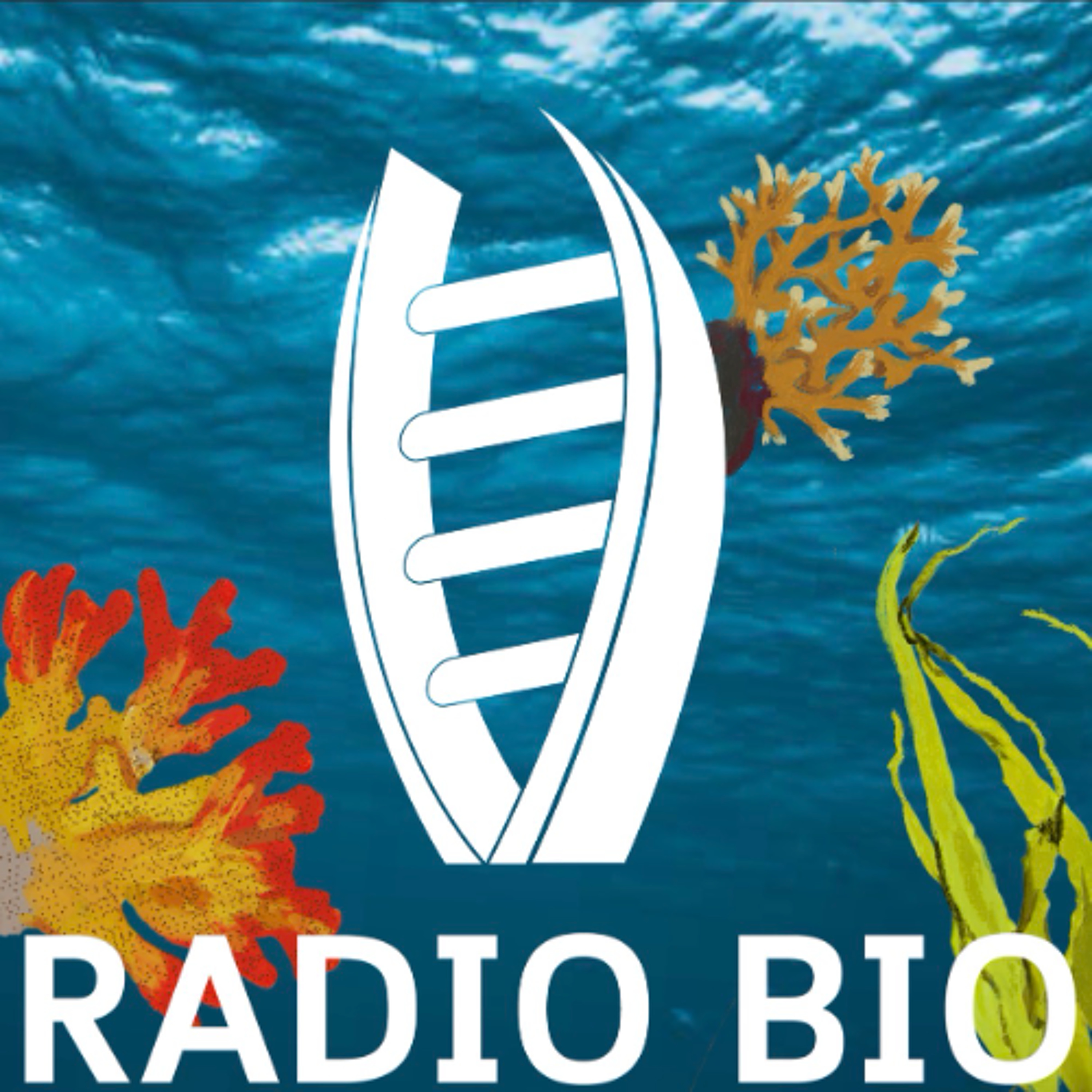 RadioBio