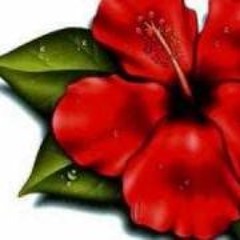 Vilo Mai Lue Mai ( Remix )
