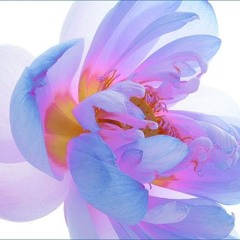 𝐁𝐋𝐈𝐒𝐒 𝐅𝐓. 𝐎𝐋𝐈𝐕𝐄𝐑'𝐒 𝐁𝐄𝐃𝐑𝐎𝐎𝐌 𝐌𝐔𝐒𝐈𝐂