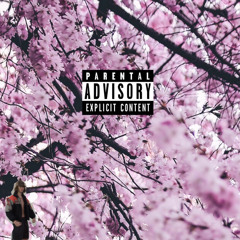 Cherry blossom prod paryo