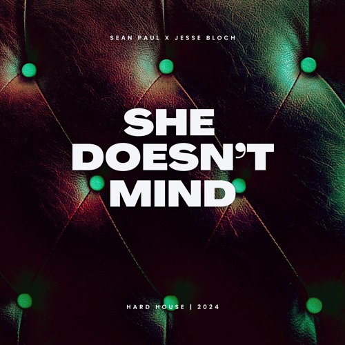 Sean Paul - She Doesn't Mind (Jesse Bloch Remix) [DOWNLOAD AVAILABLE]
