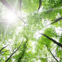 Breath Of The Earth - Alberto Vatteroni